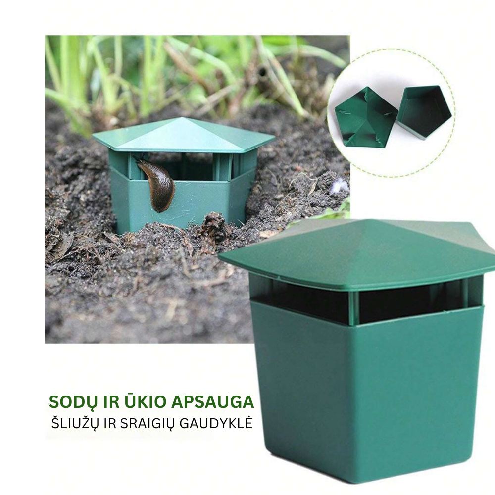 Gaudyklė šliužams ir sraigėms, 5 vnt.